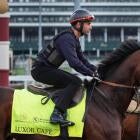 Derby horses 2025 parade at Churchill Downs
