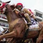 Citizen Bull horse stands ready at Churchill Downs before the Kentucky Derby 2025