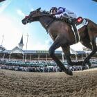 Steve Kornacki at the Kentucky Derby