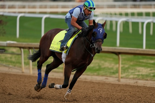 Owen Almighty horse preparing for the Kentucky Derby