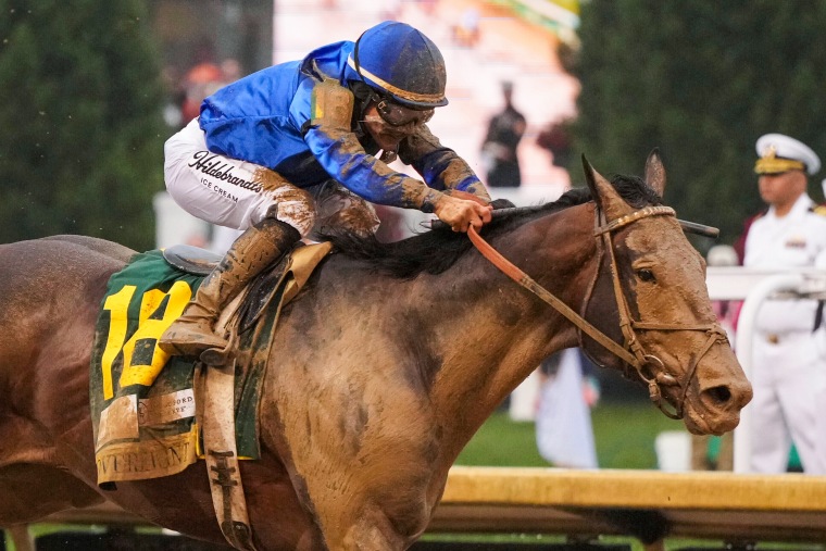 Sovereignty crosses finish line, jockey fined after victory