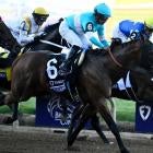 A photo of horses parading at Pimlico before the Preakness Stakes 2025, featuring the Preakness 2025 horses field